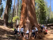 Sequoia N. Park: 4-Day Journey Among Giants